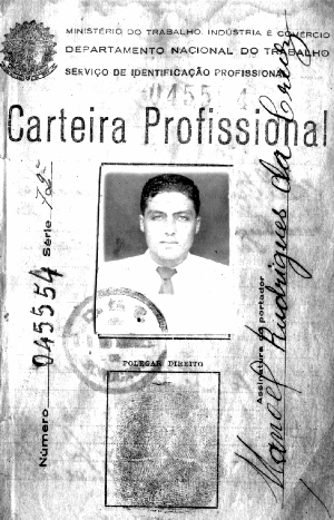 Pés de café